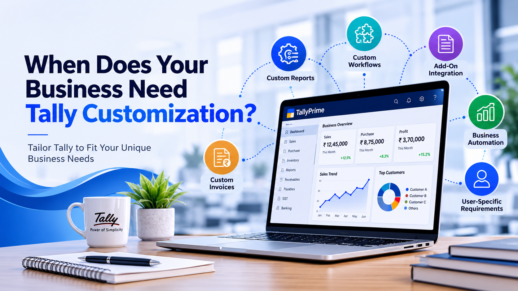 When Does Your Business Need Tally Customization?